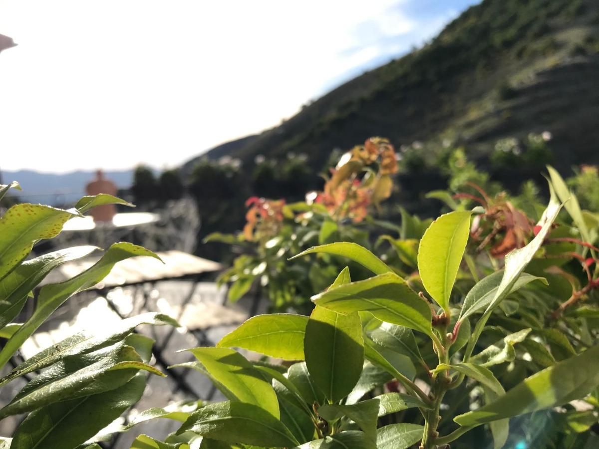 Borgo Manca Suite Sasso di Castalda Εξωτερικό φωτογραφία