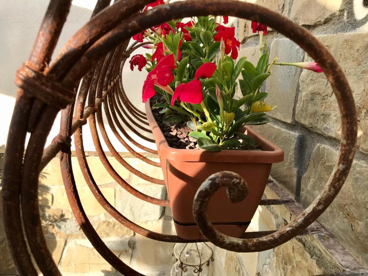Borgo Manca Suite Sasso di Castalda Εξωτερικό φωτογραφία
